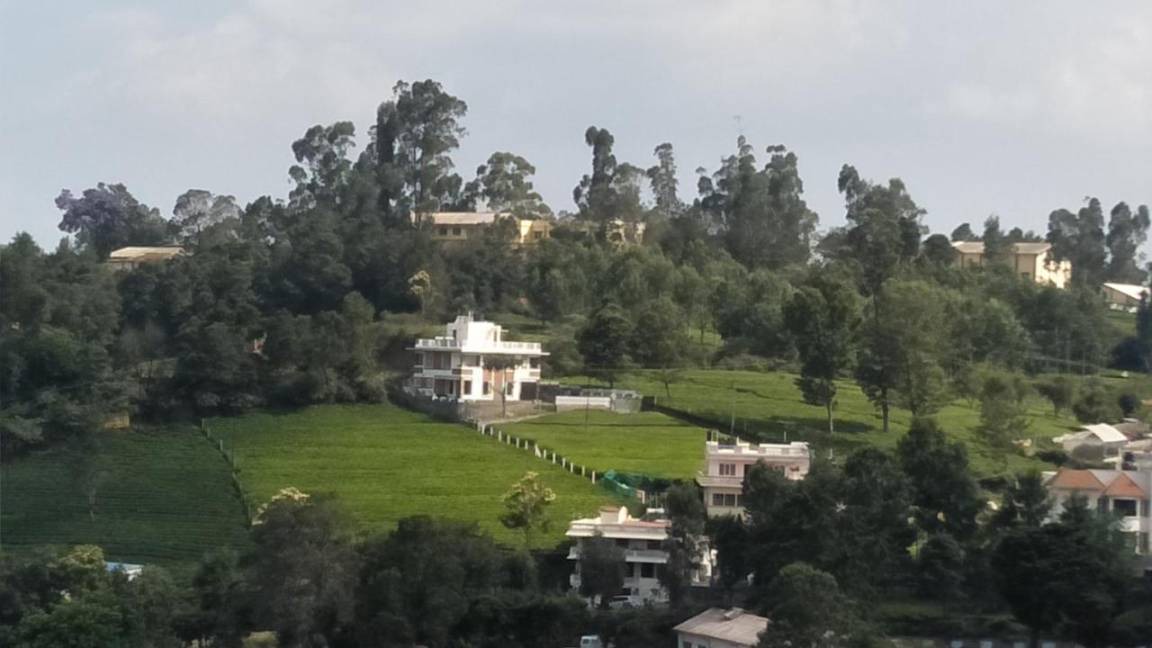 Kotagiri Hotel | 34 m² Hotel ∙ 5 guests