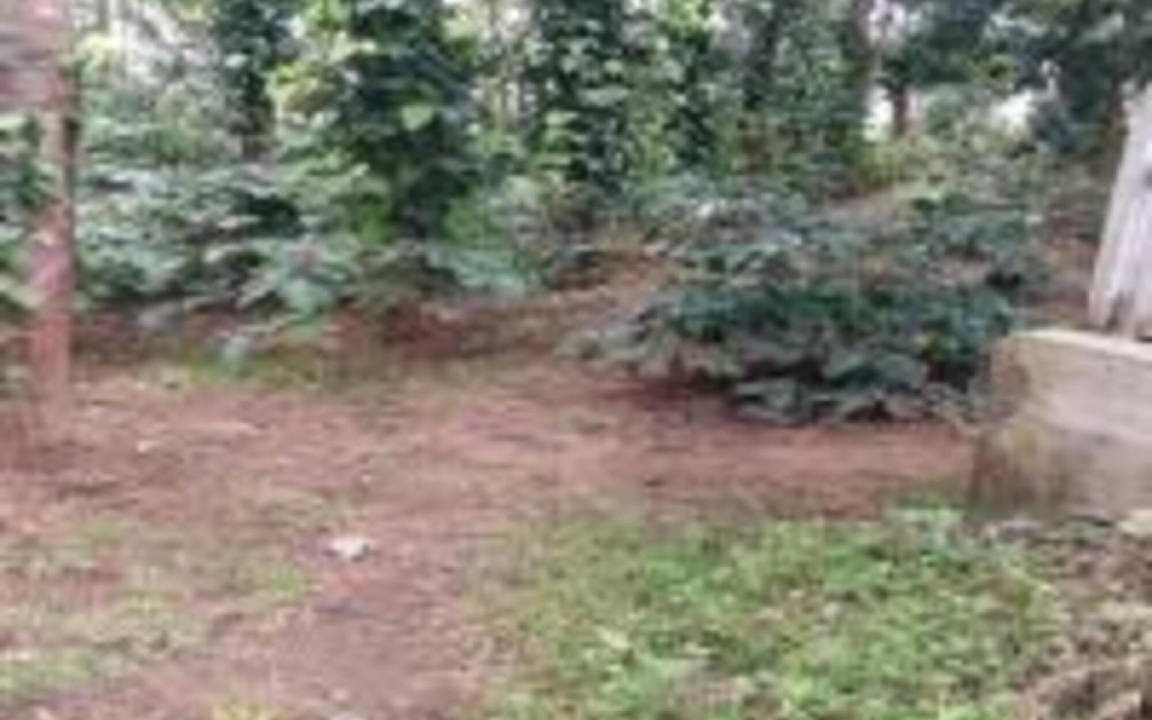 Chikkamagaluru Villa | 65 m² Villa ∙ 1 bedroom ∙ 8 guests