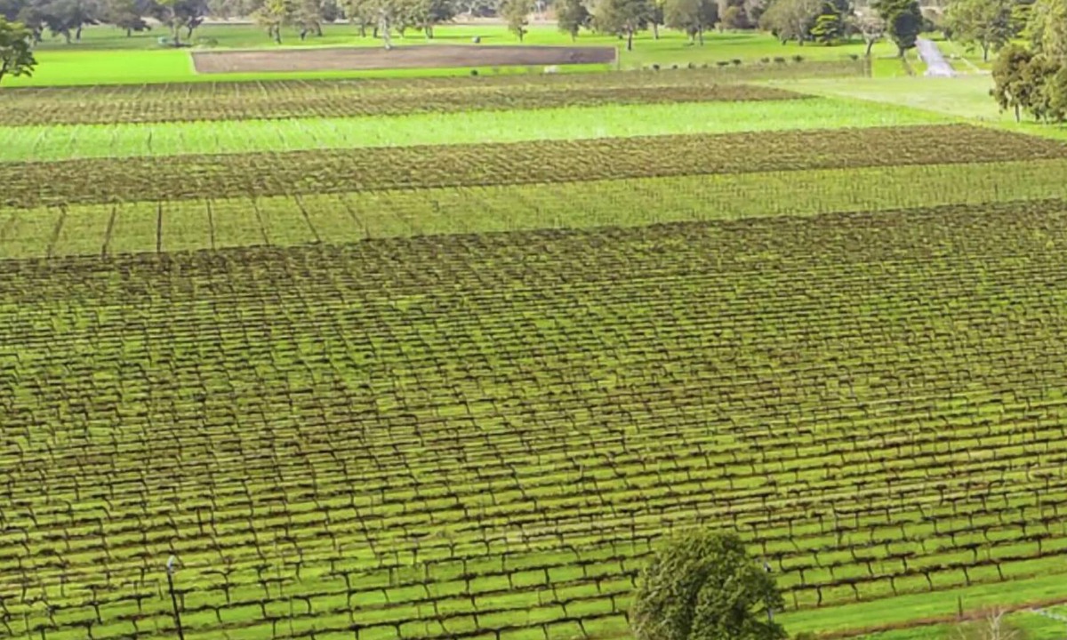Penola House | A Penola-Coonawarra Villa