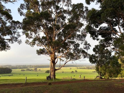 Augusta Cabin | Augusta Sheoak Chalets