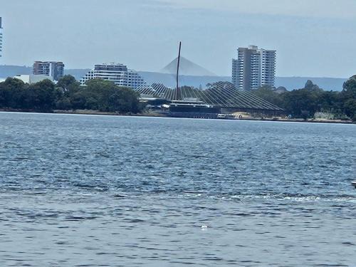 South Perth Apartment | Avocet Apartment