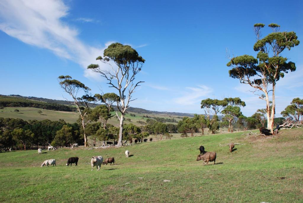 Back Valley House | Back Valley Farmstay Bed and Breakfast