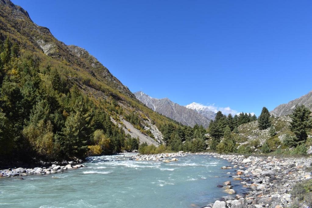 Chitkul Other | Baspa River Camps