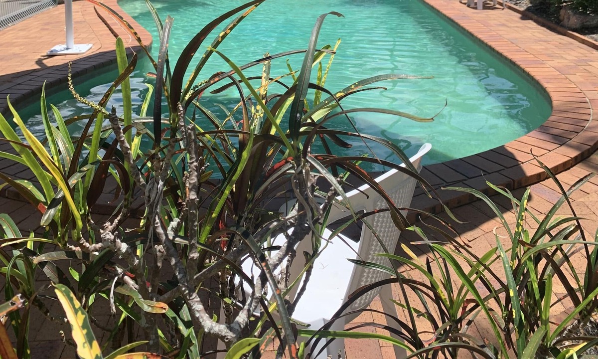 Torquay Apartment | Beachfront at Silver Sands - opposite Shelly Beach in Hervey Bay - Heated Pool