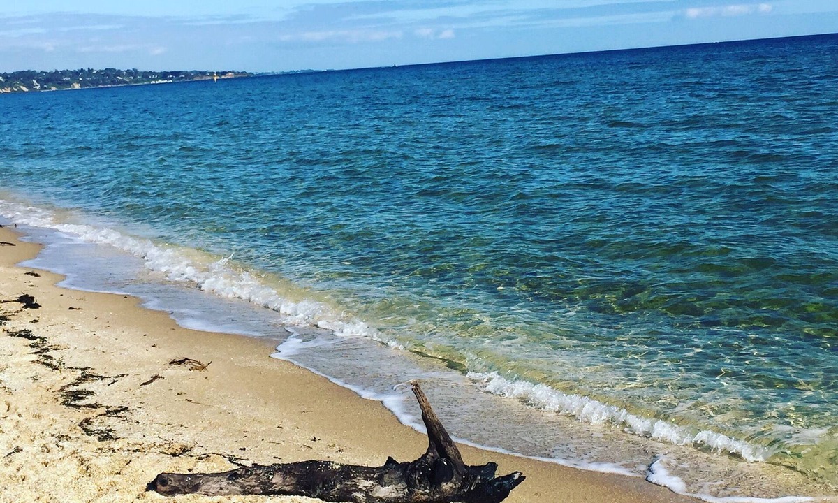 Seaford House | Beachside hidden gem.