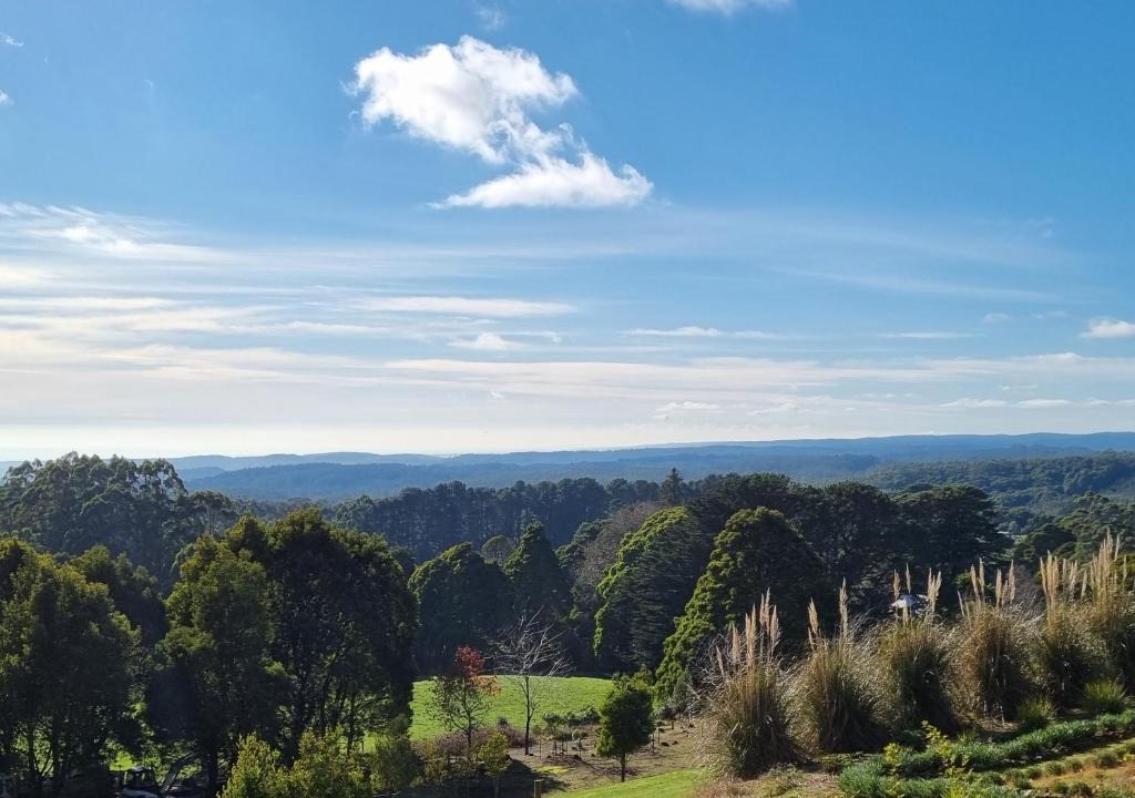 Beech Forest House | Beech Forest Cottage (Cozy Otways Accommodation)