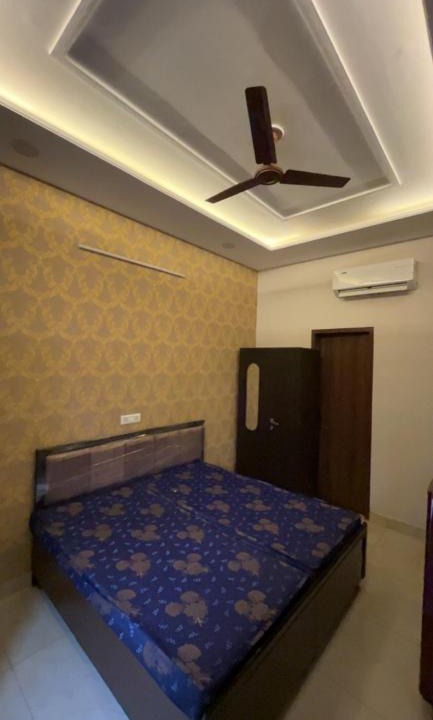 Phagwara House | BLUEBERRY PG