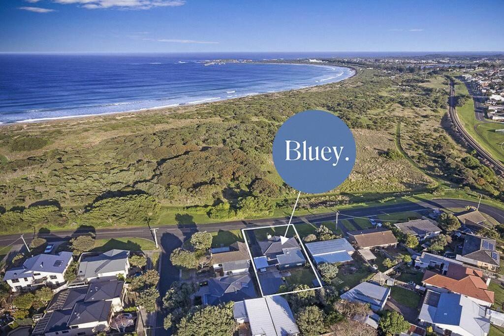 Warrnambool House | Bluey