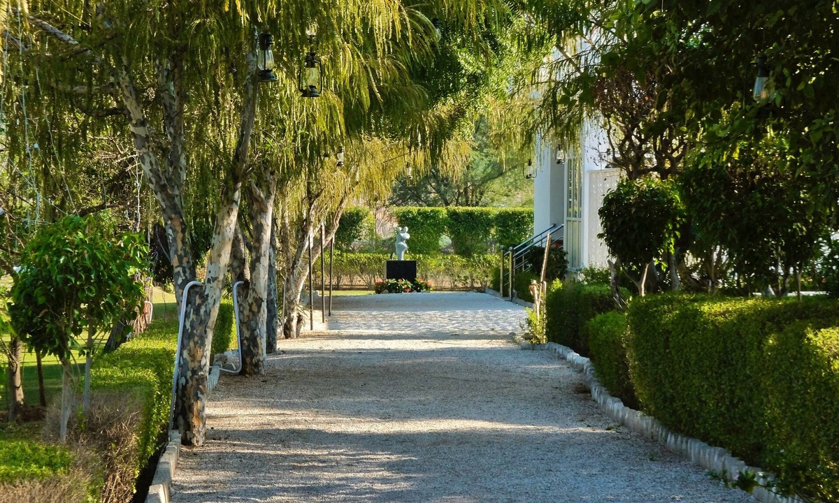 Honkra Resort | Bodhi Retreat