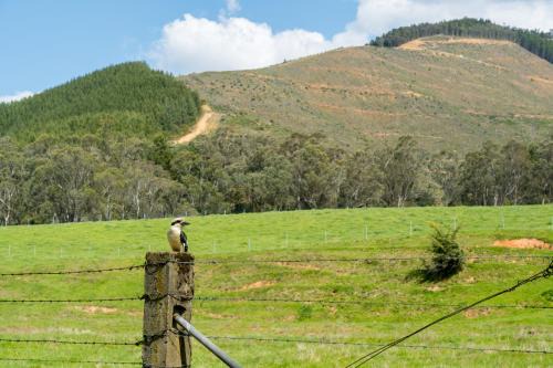 Bright Resort | Bright Cabin & Caravan Park