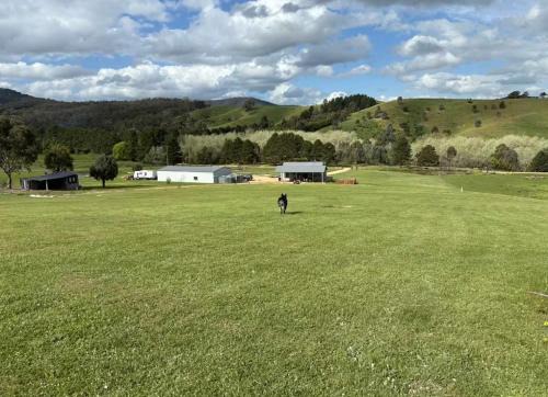 Bonnie Doon House | BrinCole - Pet-Friendly, Huge Deck with Epic Views & Fire Pit