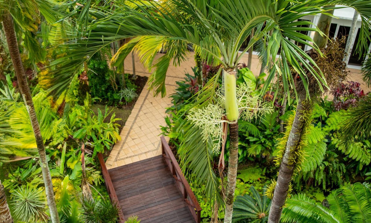 Cairns North Hotel | Cairns Harbourside Hotel
