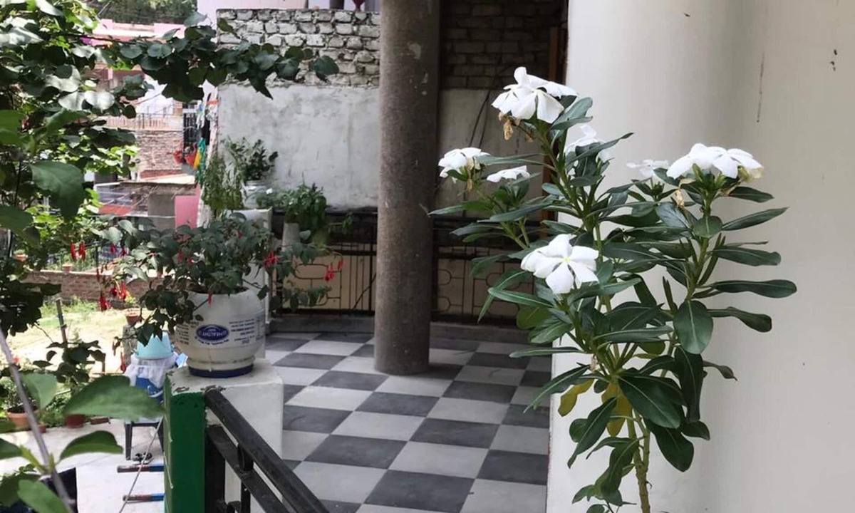 Deoghat Apartment | Cozy Solan Apartment With Stunning Views