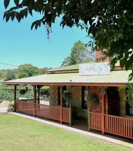 Yungaburra Hotel | Curtain Fig Motel