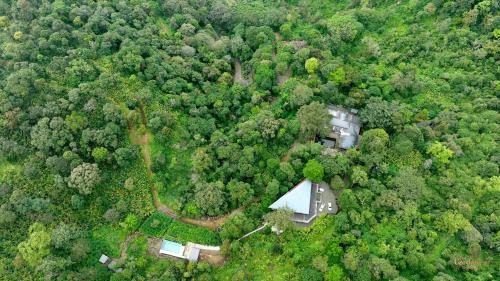 Elappara Resort | Ela Luxury Stay