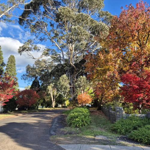 Bowral Apartment | Fenway Cottage