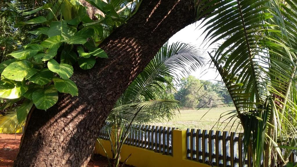 Benaulim House | Feyona Guest House