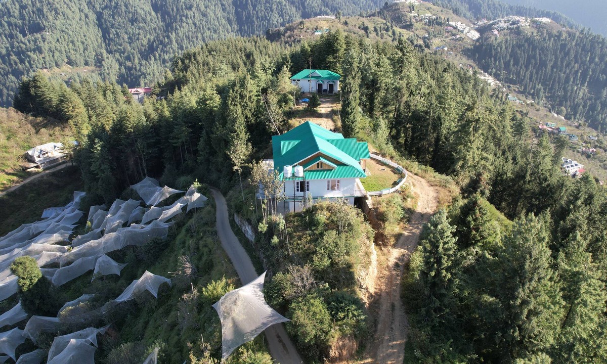 Narkanda Hotel | Forest Rest House Tannu Jubbar