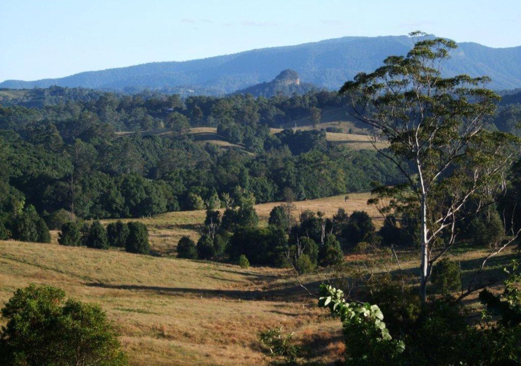Nimbin House | Grey Gum Lodge
