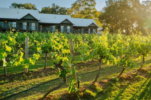 Pokolbin Hotel | Hermitage Lodge