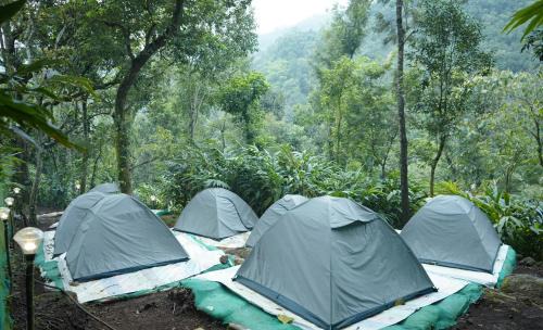 Lakkidi Other | Hidden Valley Wayanad
