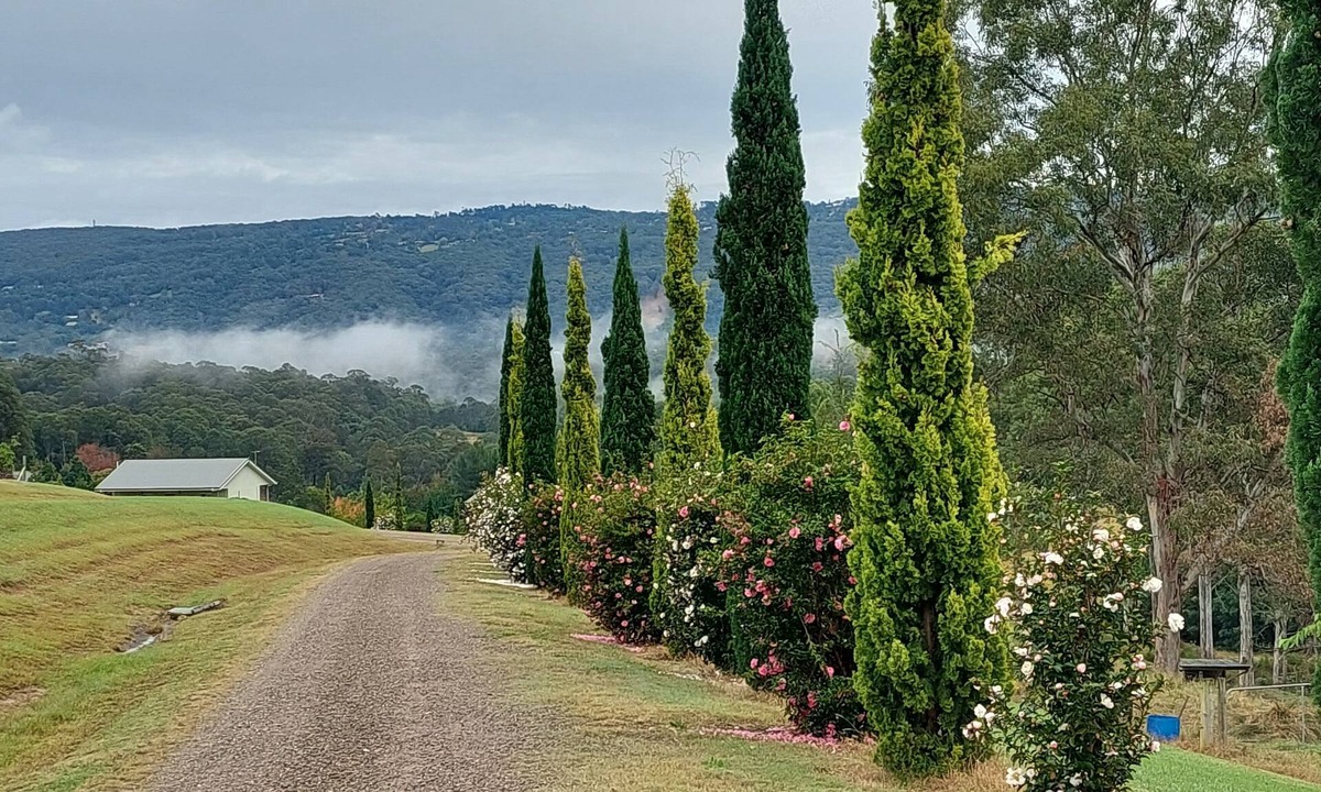 Kurrajong House | Highfields Country Cottages Valley View Sleeps 2 couples 1 Bedroom & QSofa