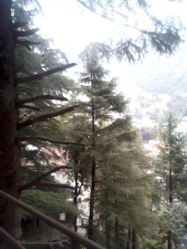 Dharamshala House | Himalayan Hostel Snowline Trekkers Hostel