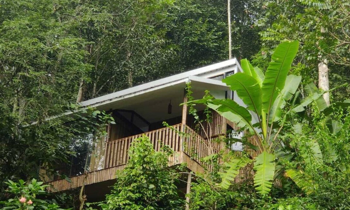 Kunchithanny Cottage | Illi Villa Cozy Bamboo claded Nature friendly cottage in Munnar in Spices farm