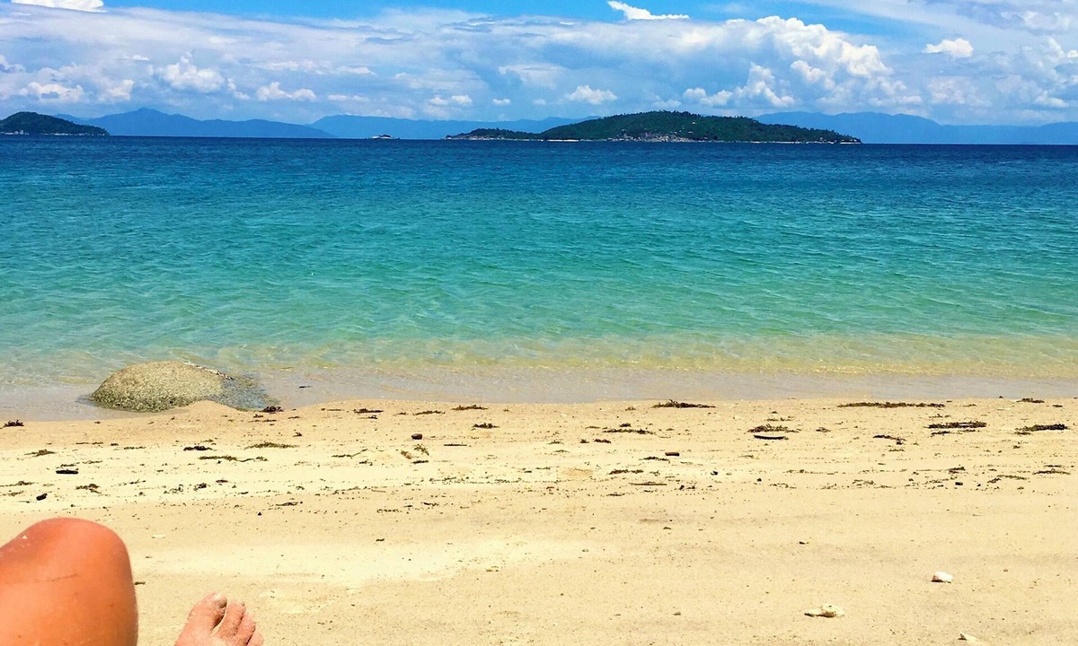 Bingil Bay Hostel | Jackaroo Treehouse Mission Beach - Hostel