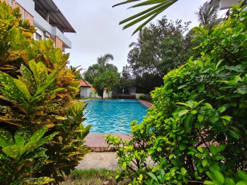 Arambol Apartment | Jackfruit