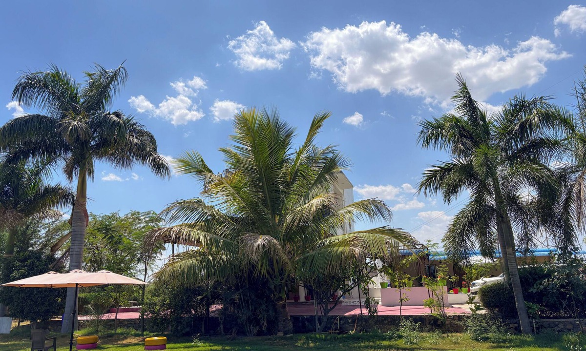 Bali Resort | JAWAI INTO THE WILD