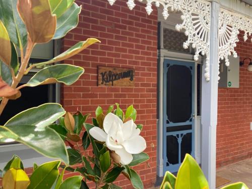 Benalla House | Kilparney House