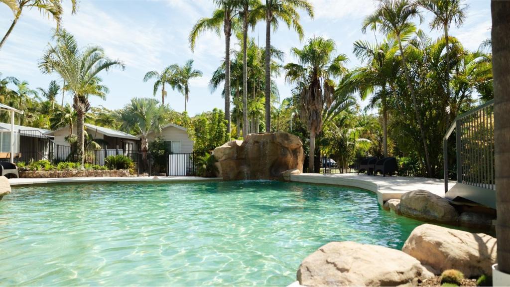Lemon Tree Passage Resort | Koala Shores Holiday Park