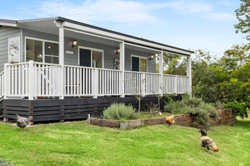 Homeleigh House | Kyogle Farmstay - Charming Country Cottage