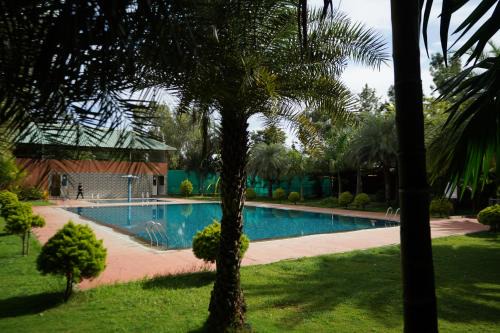Agara Other | lago Palm Resort