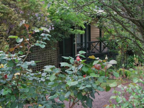 Dixons Creek Bed & Breakfast | Leafield Cottages