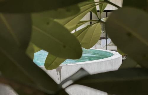 Mission Beach House | Little Lani - Modern Beach Shack