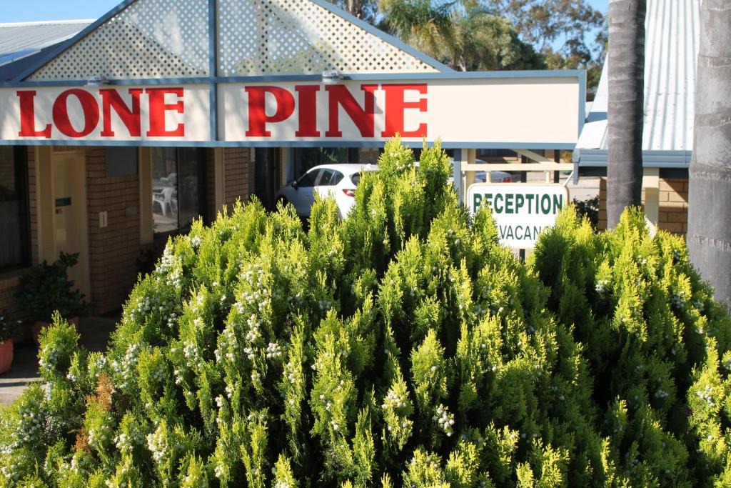 Corowa Hotel | Lone Pine Motel