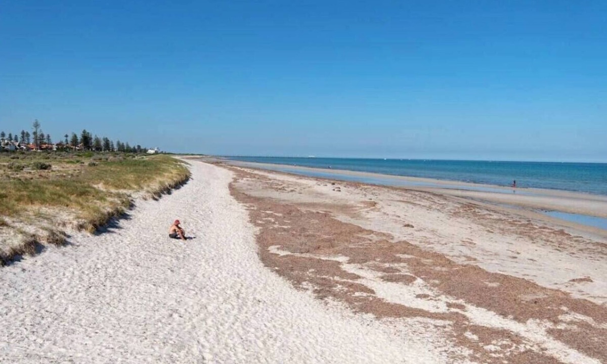 Largs Bay Apartment | Lovely Beachside Largs Bay - free wine