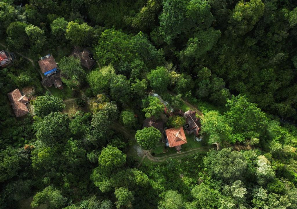 Kottappadi part Resort | Mahout Resort Wayanad - An Experiential Jungle Stay with Waterfall