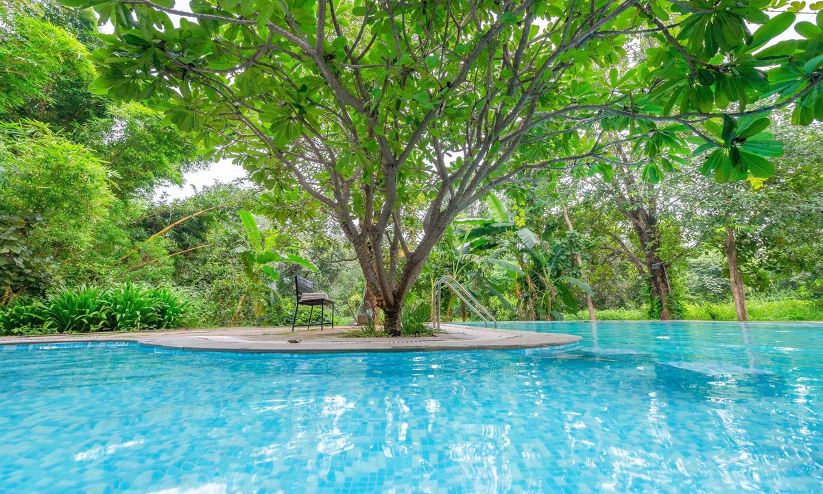 Turiya Hotel | Mahua Vann Pench