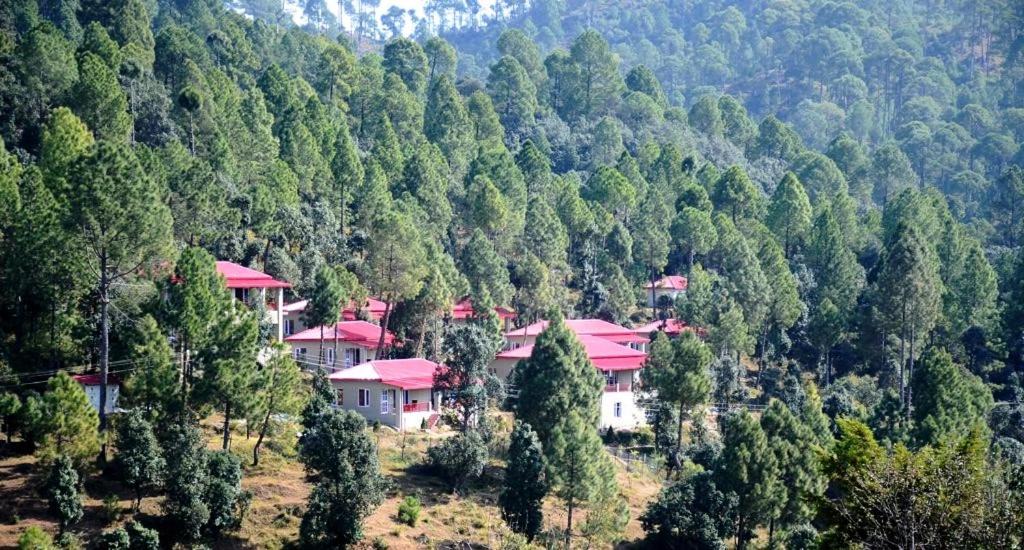 Majkhali Cabin | Majkhali Woods, Ranikhet, By Himalayan Eco Lodges