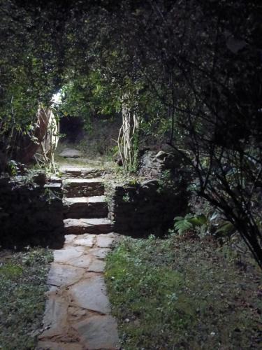 Binsar House | Mayoli Farm Stay