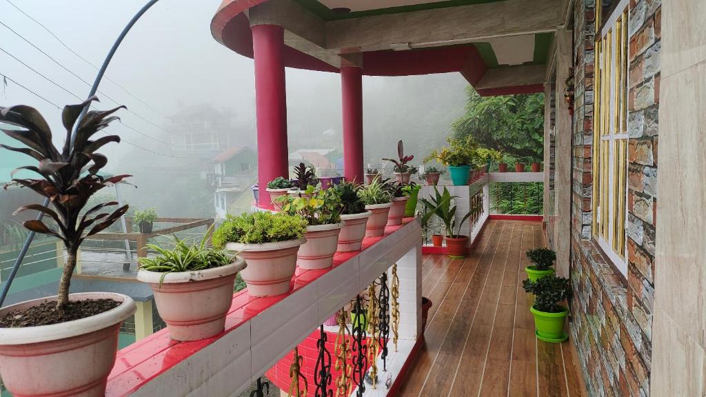 Darjeeling Apartment | Mountaineers Homestay 6th Mile