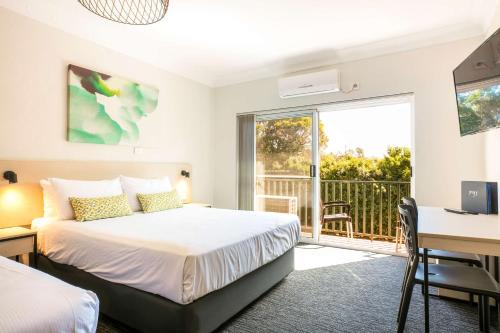 St Clair Hotel | Nightcap at Blue Cattle Dog Hotel