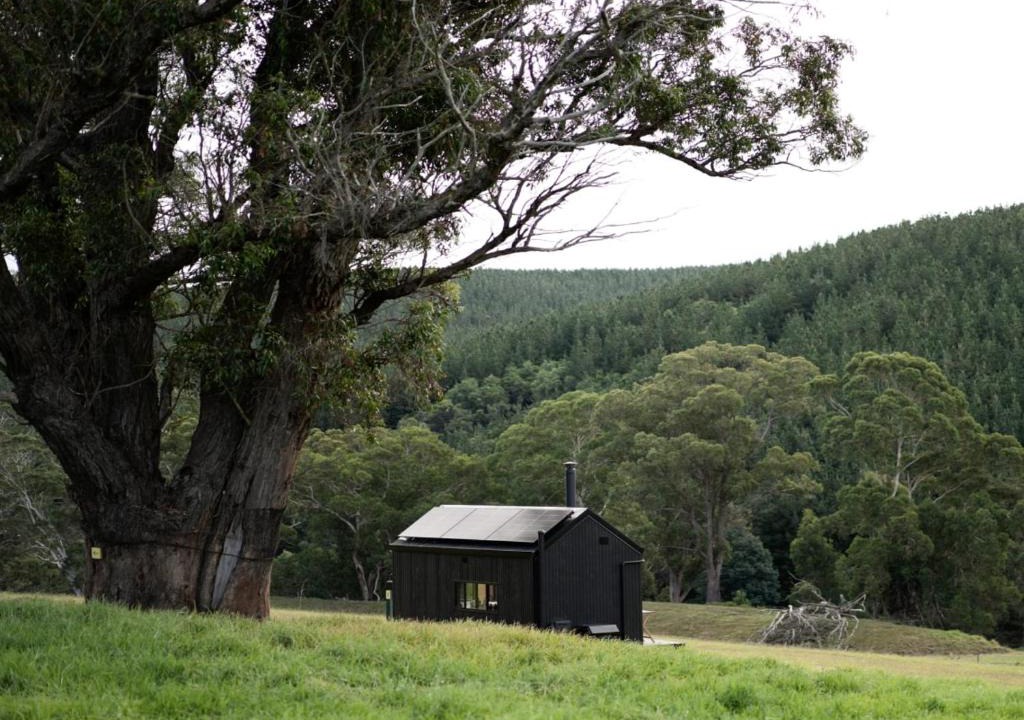 Tarra Valley House | Off-Grid Cabin with Valley Views and Hot Tub - Pepe