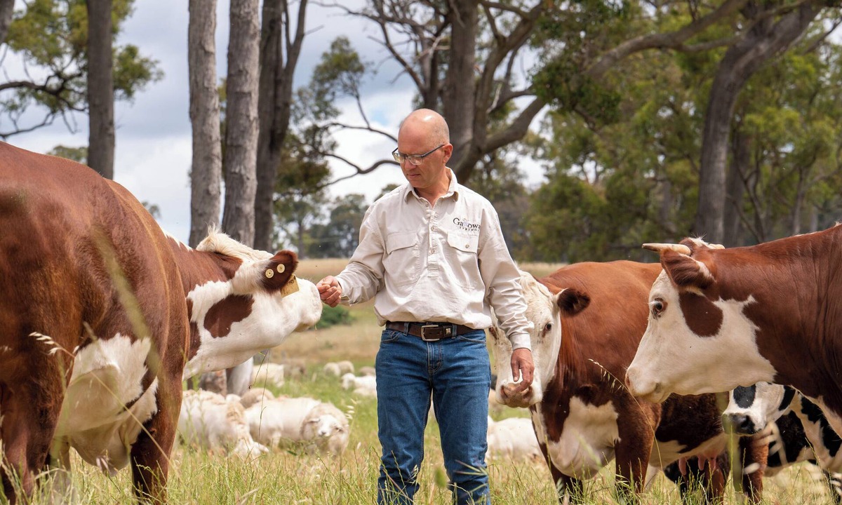 Glenlynn Cottage | On farm accommodation in the beautiful South West of WA.