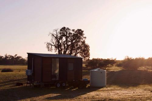 Cherry Tree Pool House | Orana Cabin by Tiny Away