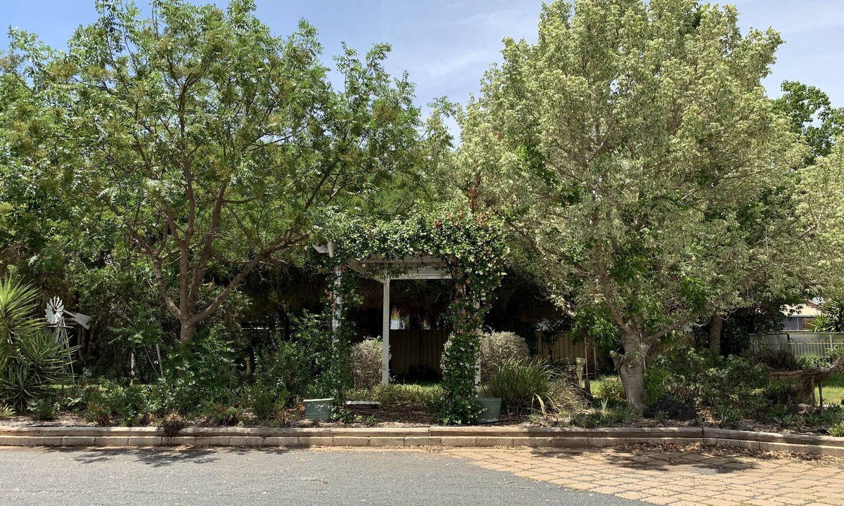 Gilgandra Hotel | Orana Windmill Motel