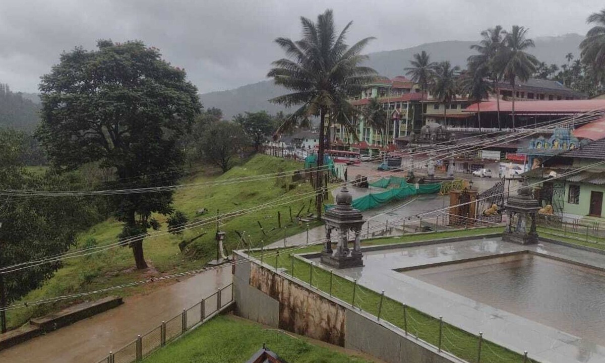 Horanadu Cabin | Padmashree lodge